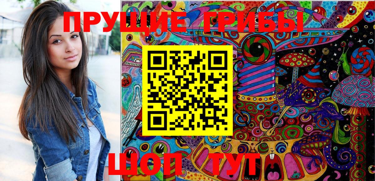 Псилоцибиновые грибы Psilocybine cubensis  Галлюциногенные грибы MAGIC MUSHROOMS  Каменск-Уральский 